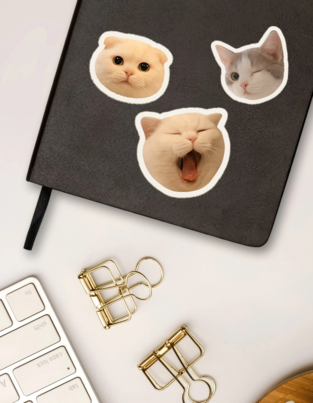 Aplicando adesivo com ferro